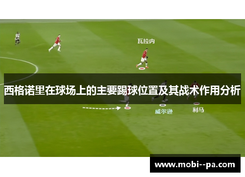西格诺里在球场上的主要踢球位置及其战术作用分析