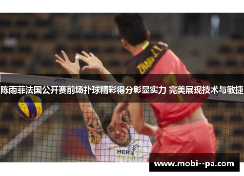 陈雨菲法国公开赛前场扑球精彩得分彰显实力 完美展现技术与敏捷