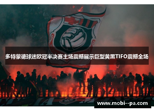 多特蒙德球迷欧冠半决赛主场震撼展示巨型黄黑TIFO震撼全场