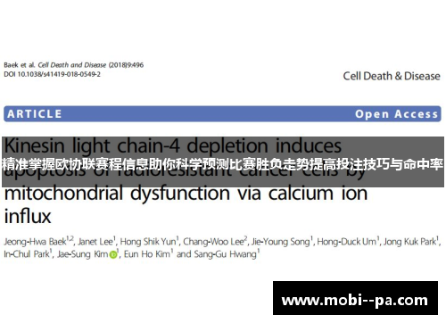 精准掌握欧协联赛程信息助你科学预测比赛胜负走势提高投注技巧与命中率